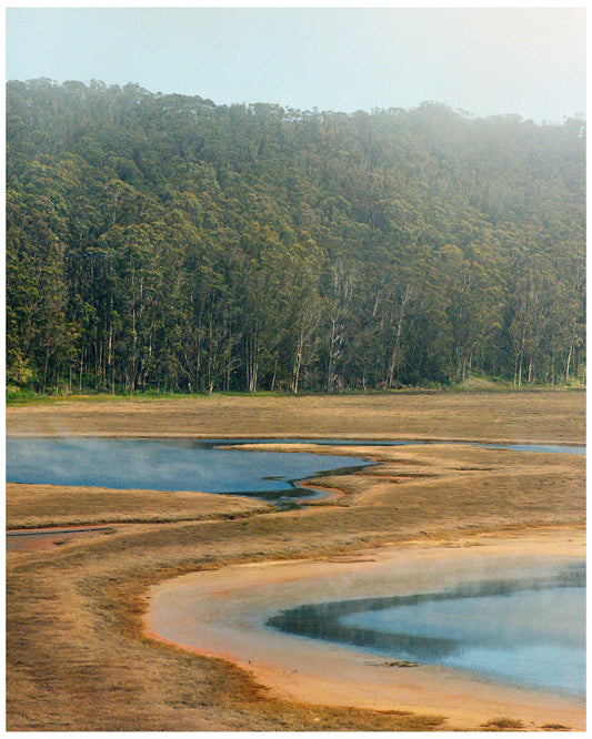 Pescadero Marsh