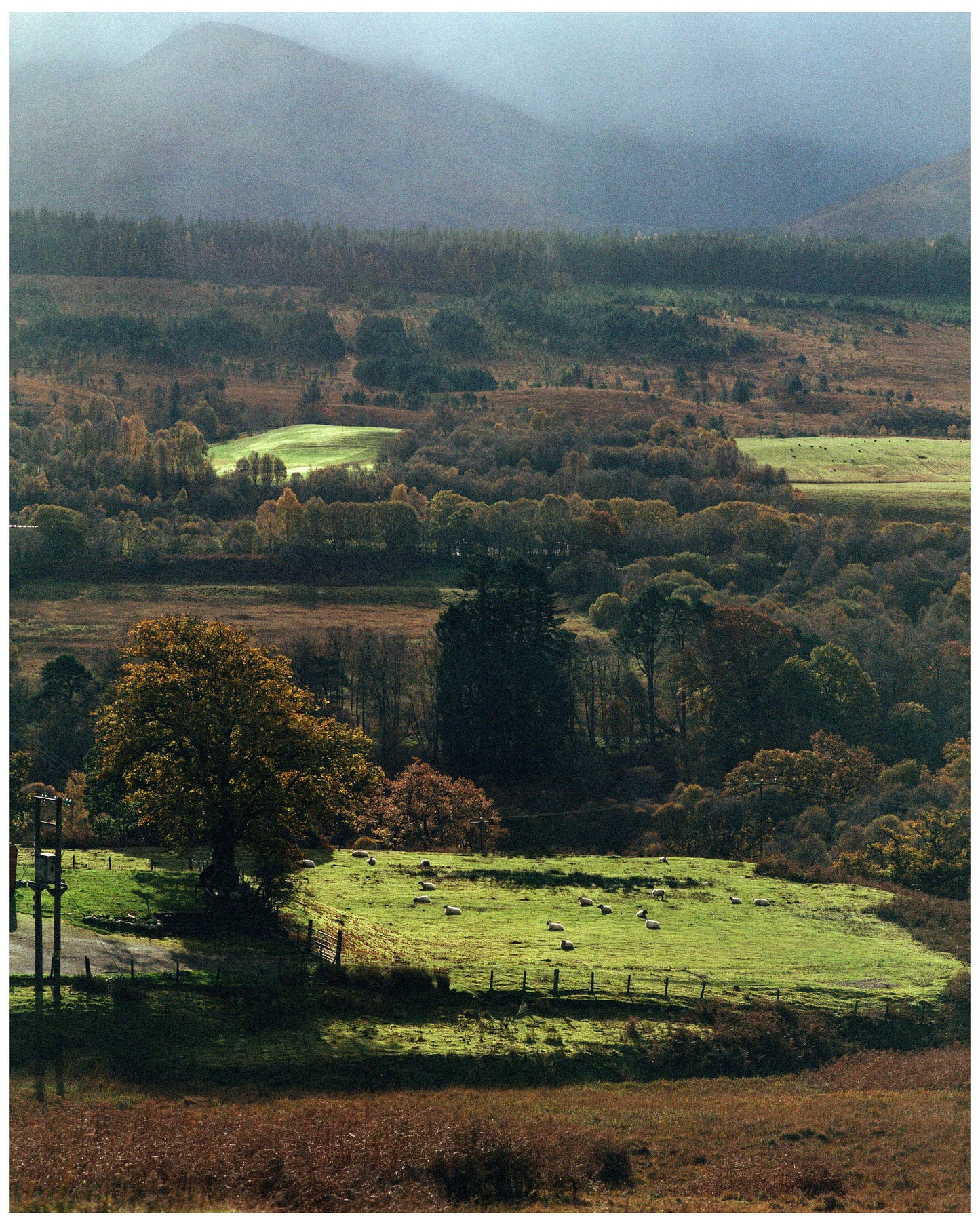 Scotland Countryside